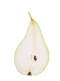 Pear variety conference