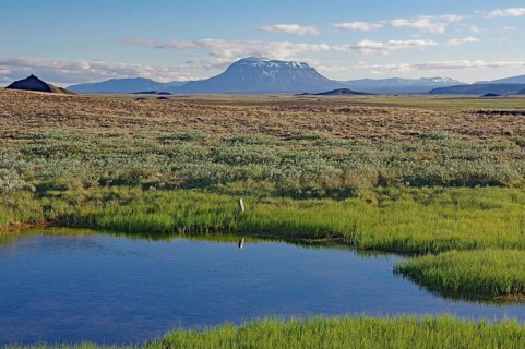 Small ponds