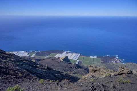 View of banana plantations from the San Antonio volcanic cone