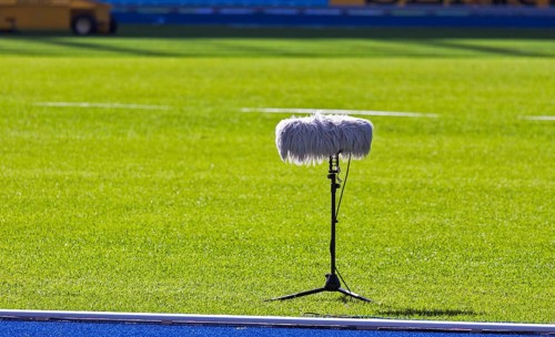 Directional microphone