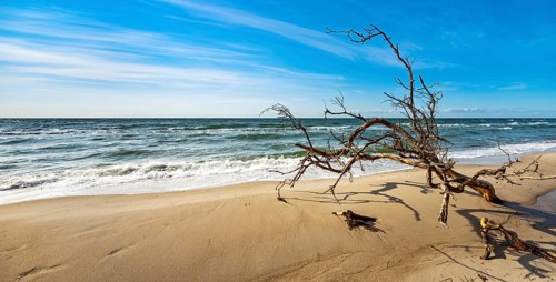 Stormy Baltic Sea in winter