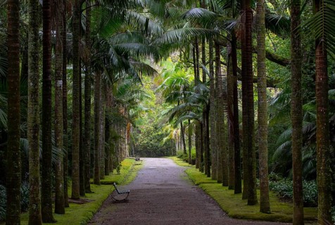 Botanical Garden