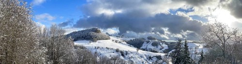 Snowy Wisner Flueh
