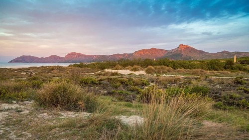 Bay of Son Serra de Marina