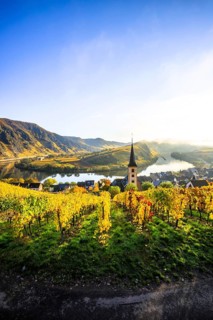 The village of Bremm on the Moselle