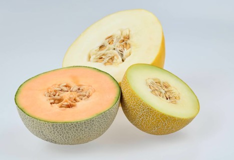 Cantaloupe