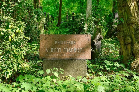 Grave