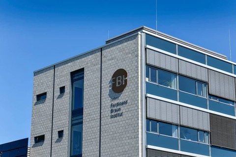 Ferdinand Braun Institute