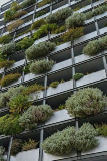 Balconies Overgrowth