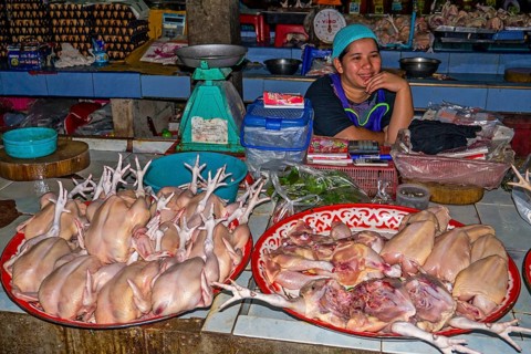 Poultry stall
