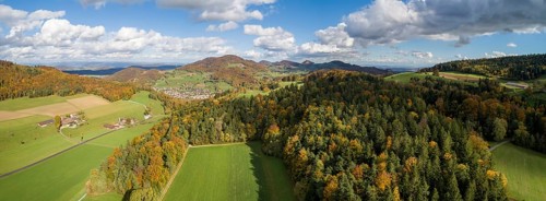View over autumn forest to Laeufelfingen