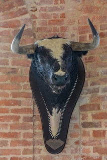 Bull's head
