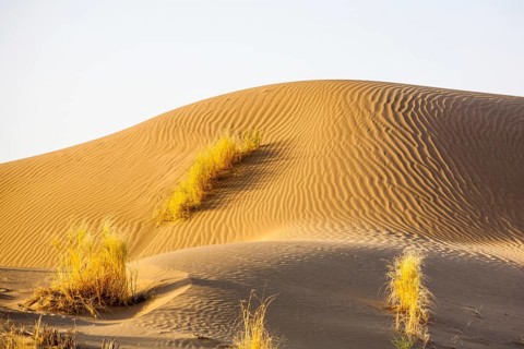 Sand Desert