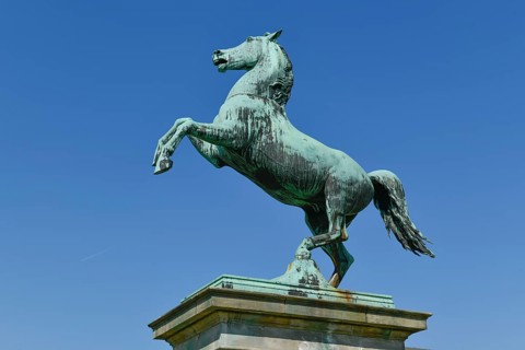 Sachsenross