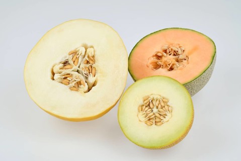 Cantaloupe