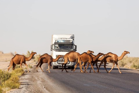 The Modern Silk Road