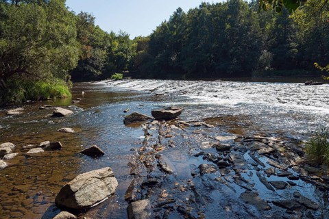 River Dyje