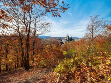 View from Agnesberg on Wernigerode Castle in autumn