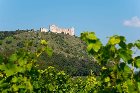 Devicky Castle Ruin