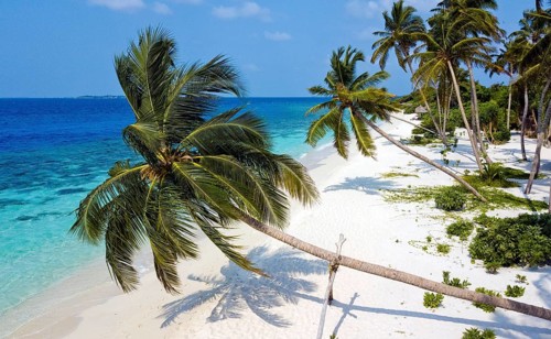 Maldives island Filaidhoo