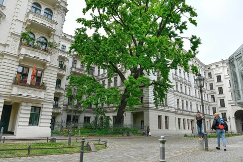 Riehmers Hofgarten