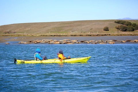 Elkhorn Slough