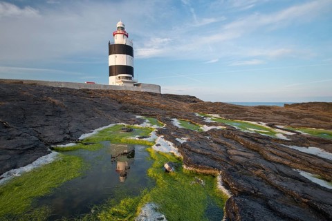Reflection in the algae at Hook Head Lighthouse