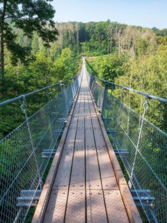 Suspension bridge over the Baerental