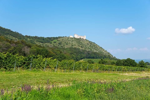 Devicky Castle Ruin
