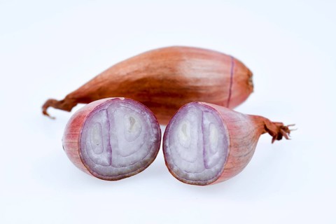 Leek