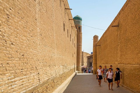 Clay wall of the Toshxauli Palace