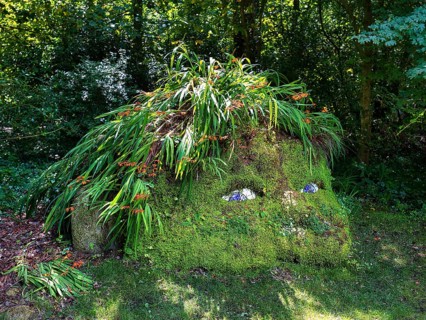 Plant Sculpture