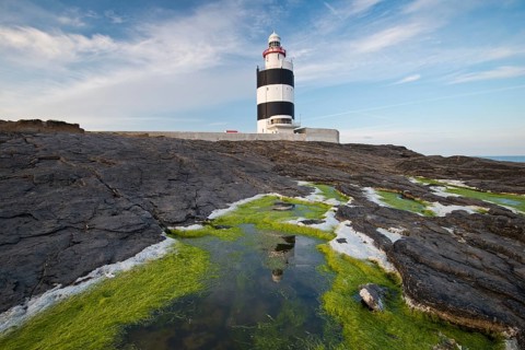 Reflection in the algae at Hook Head Lighthouse
