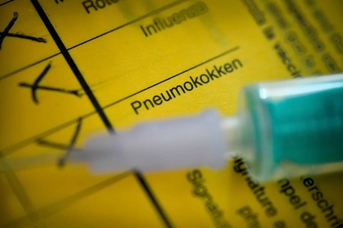 Pneumococcus