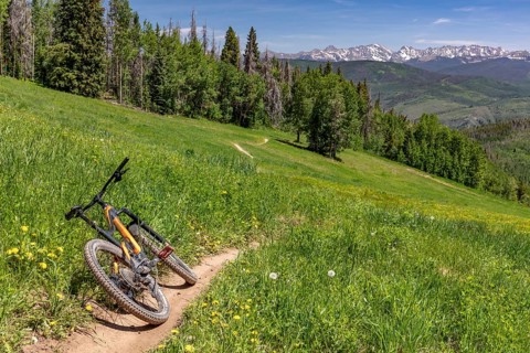 Bike Trail