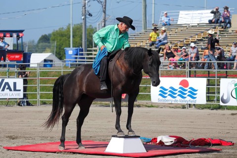 Mustang Showtime at the Rodeo