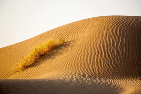 Sand Desert