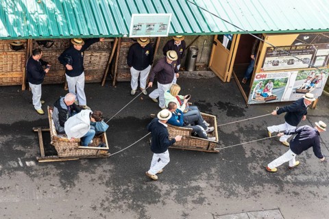 Basket sledge driver