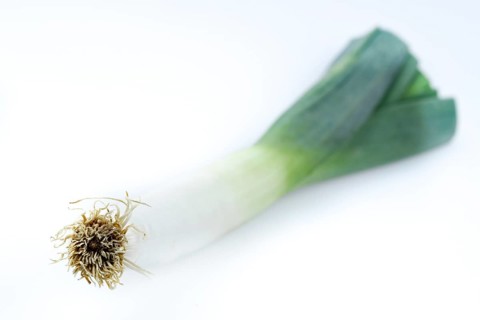Leek