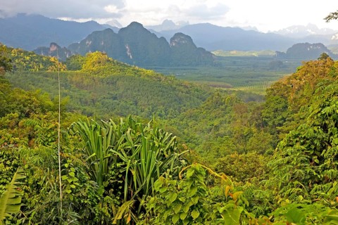 Khao Sok National Park/ Khao Sok National Park