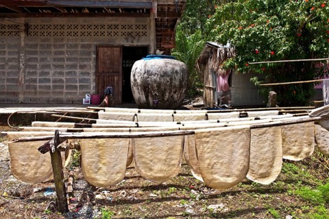 Natural Rubber Plantations