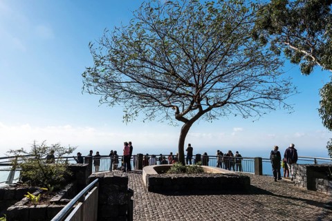 Cabo Girao viewing platform
