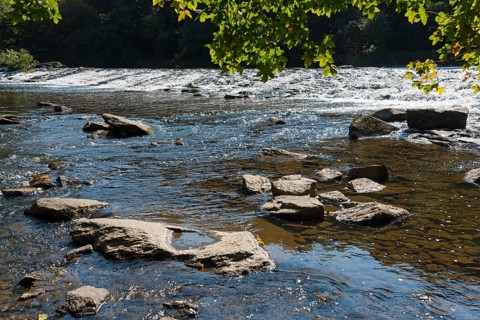 River Dyje