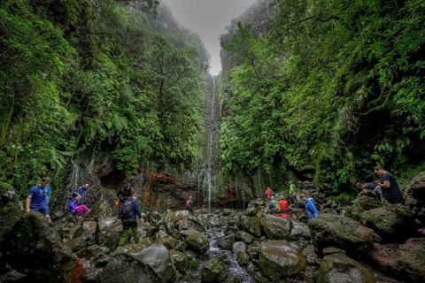 Waterfall 25 Fontes