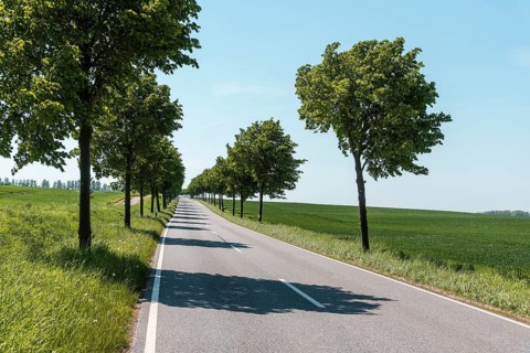 Country road