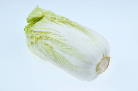 Brassica rapa
