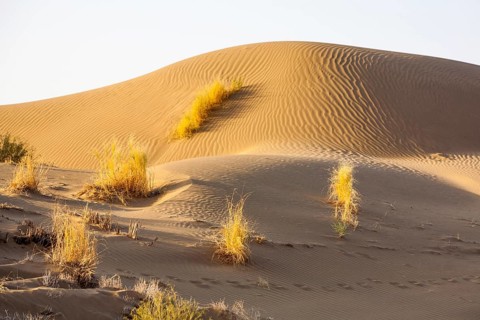 Sand Desert