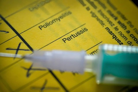Pertussis