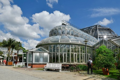 Fern House
