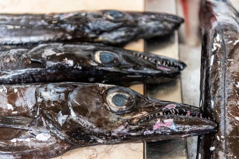 Fish market